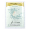 Dark Ash Blonde, 100 g Phytofilos